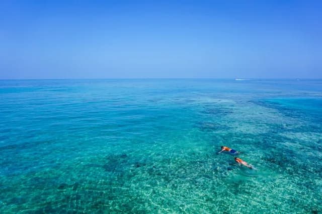 Maldives snorkeling