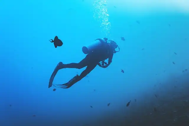Maldives Diving In Moofushi Kandu South Ari Atoll