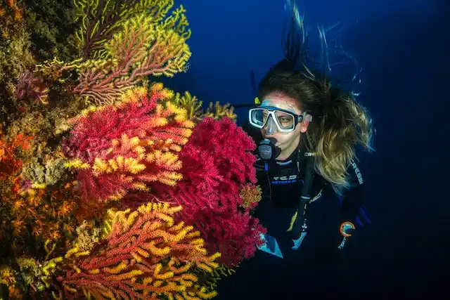 North Male Atoll Banana Reef Maldives
