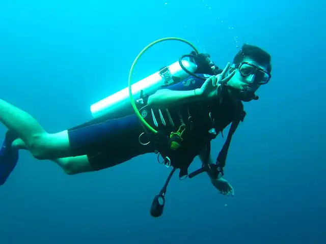 Where to dive