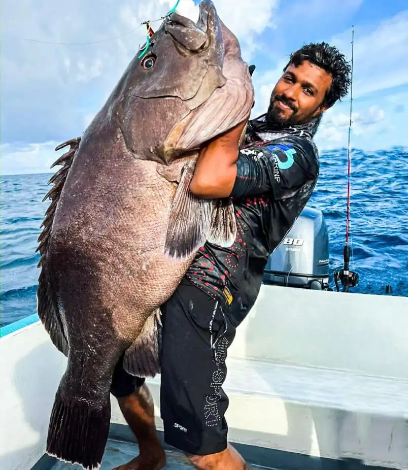 Cast fishing in maldives