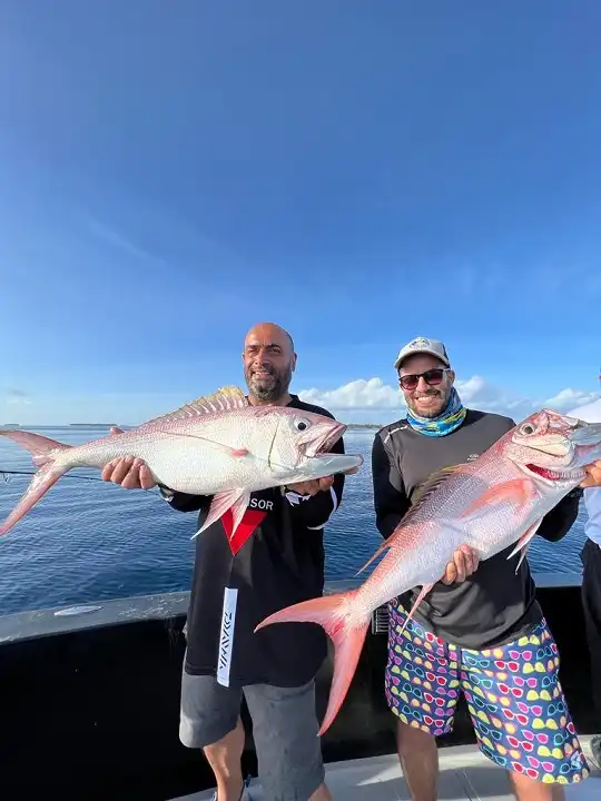 Fish in Maldives