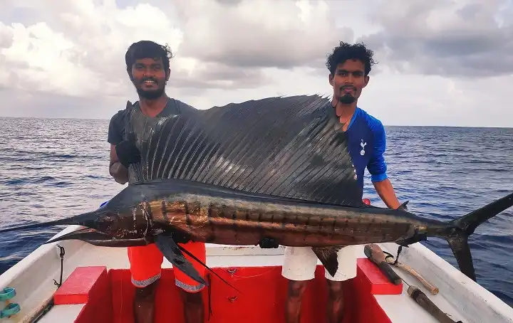 Marlin fishing in the Maldives