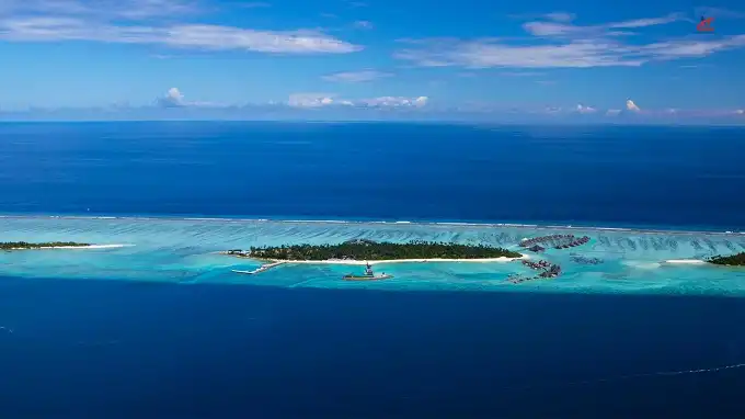 COMO Maalifushi Farms Mikados