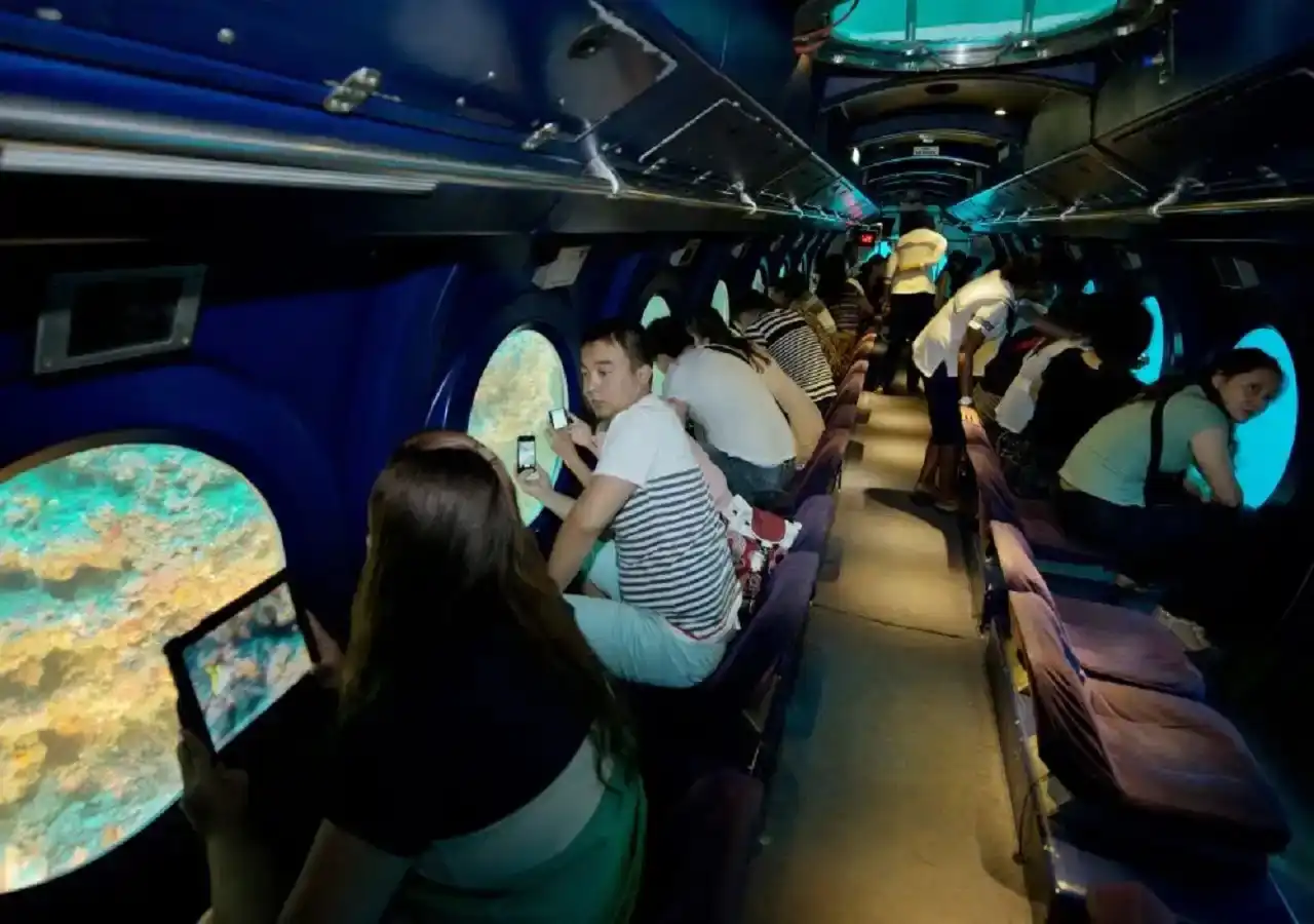 whale submarine excursion