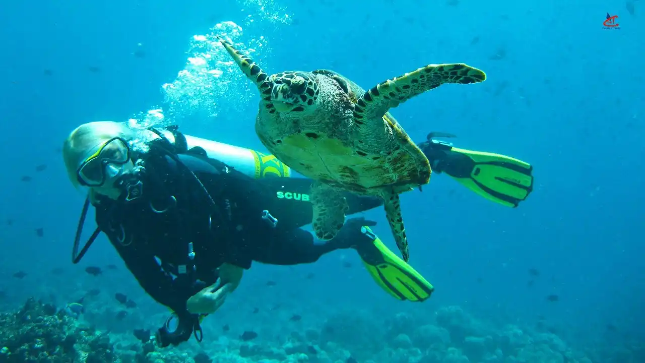 Adaaran Select Meedhupparu Island Resort