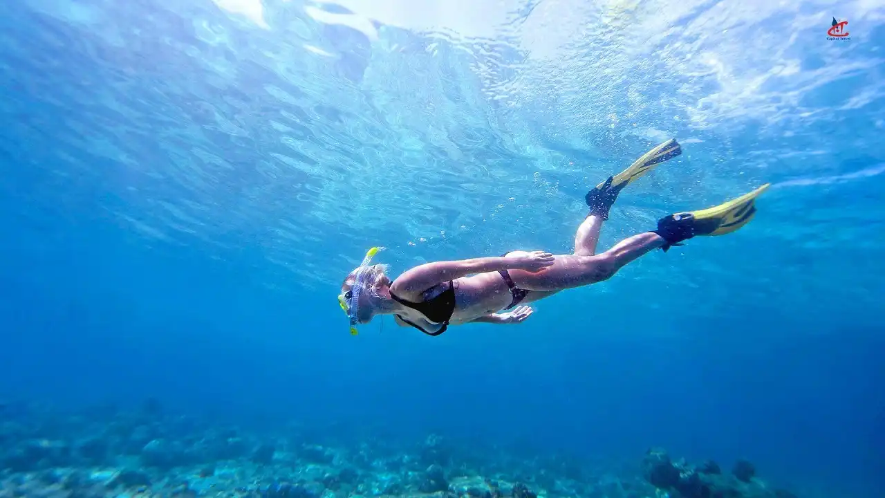 Bandos Maldives Island Resort Snorkeling