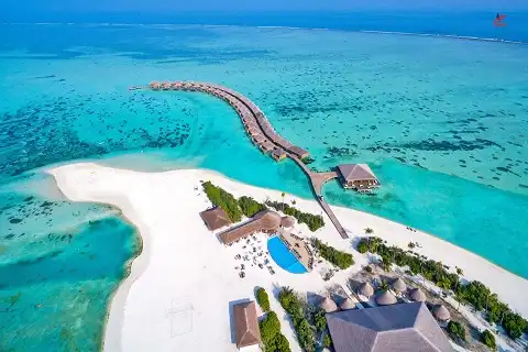 Cocoon Maldives 1