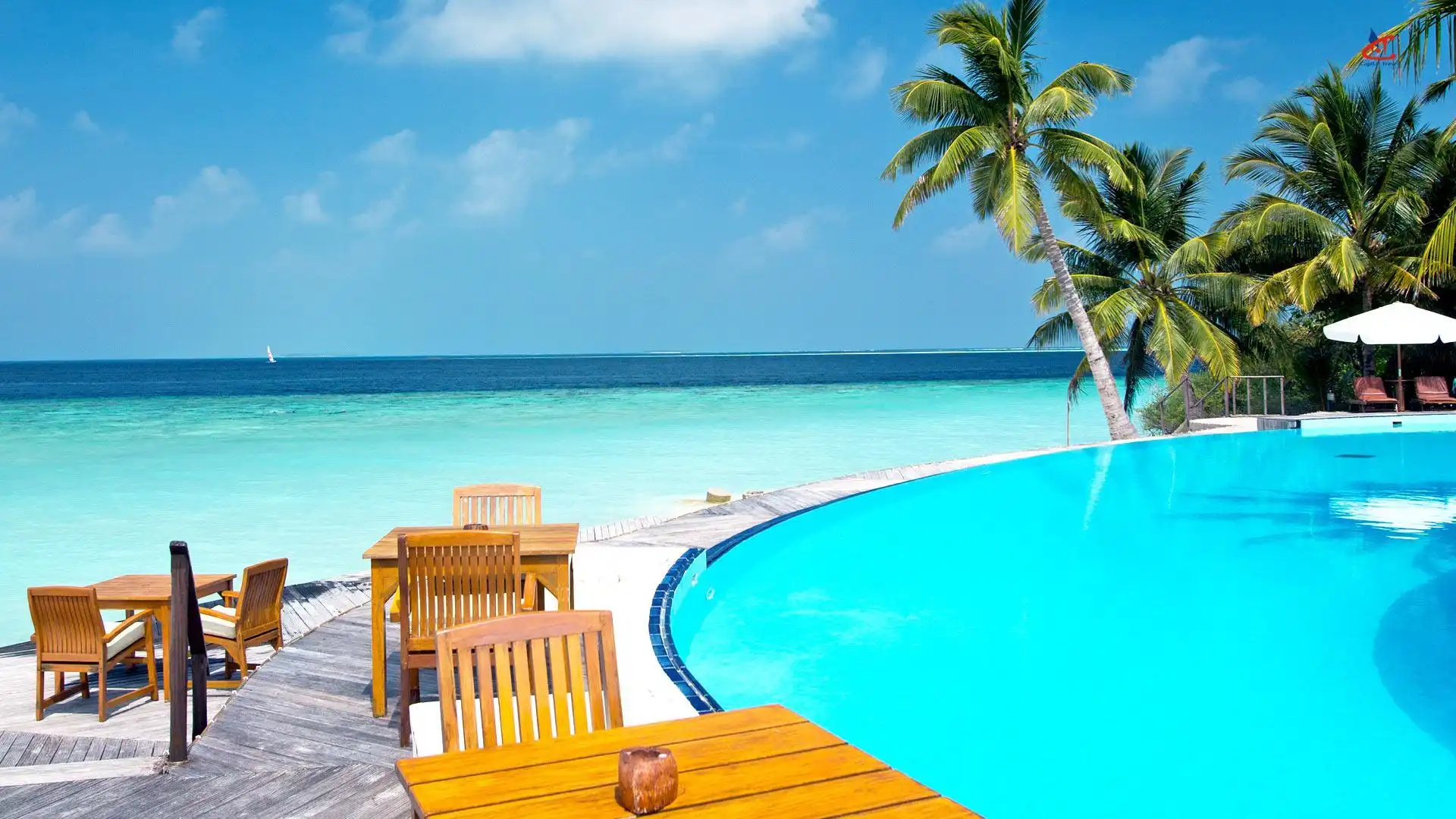 Filitheyo Island Resort Maldives Pool