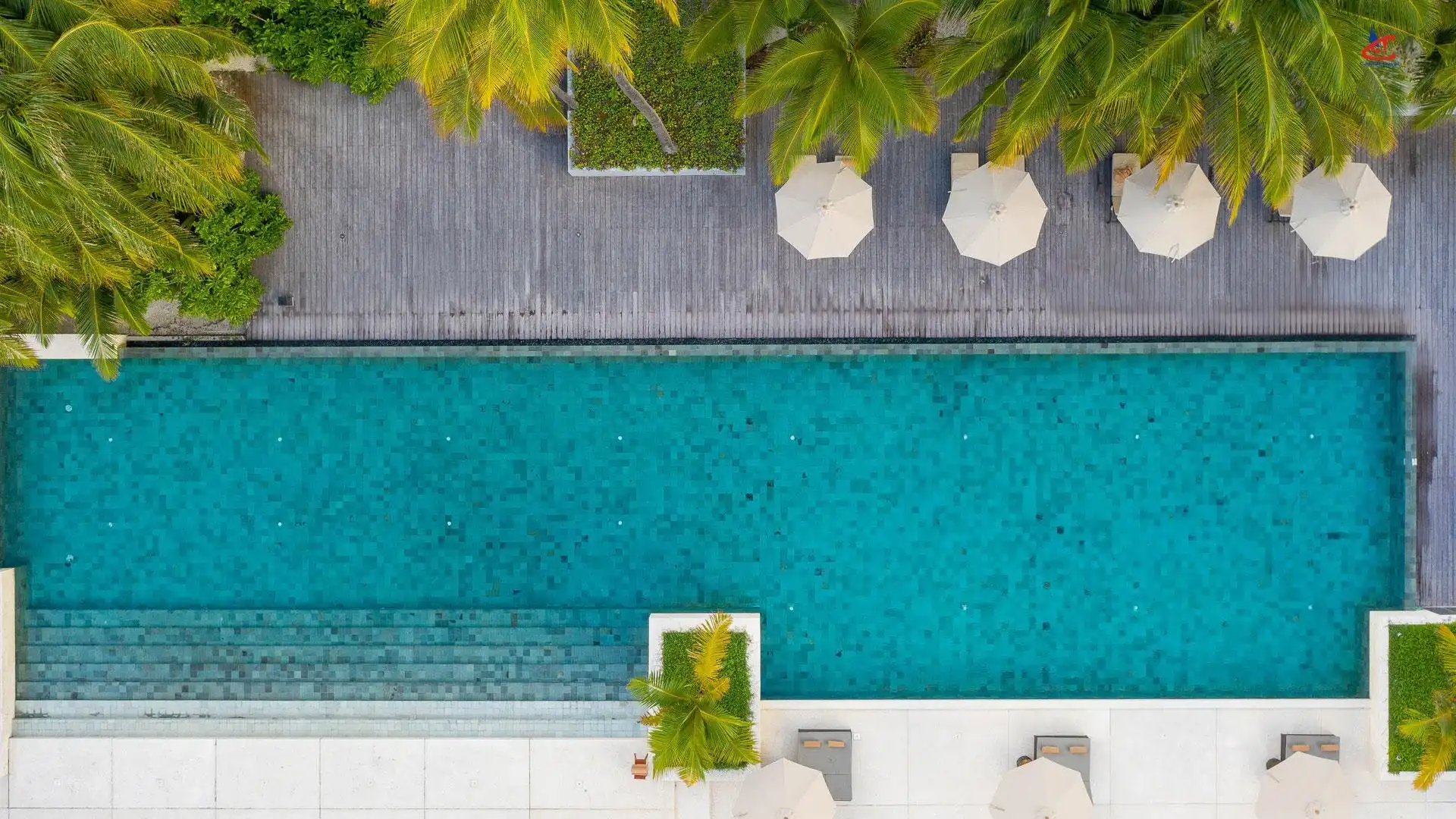 Park Hyatt Maldives Hadahaa Pool