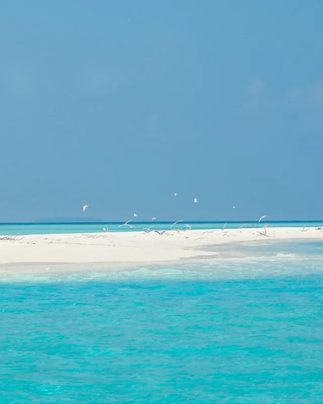 maldives sandbank - Maldives activities