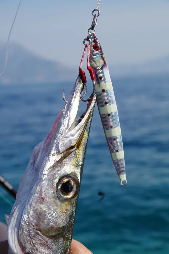 Maldives fishing package