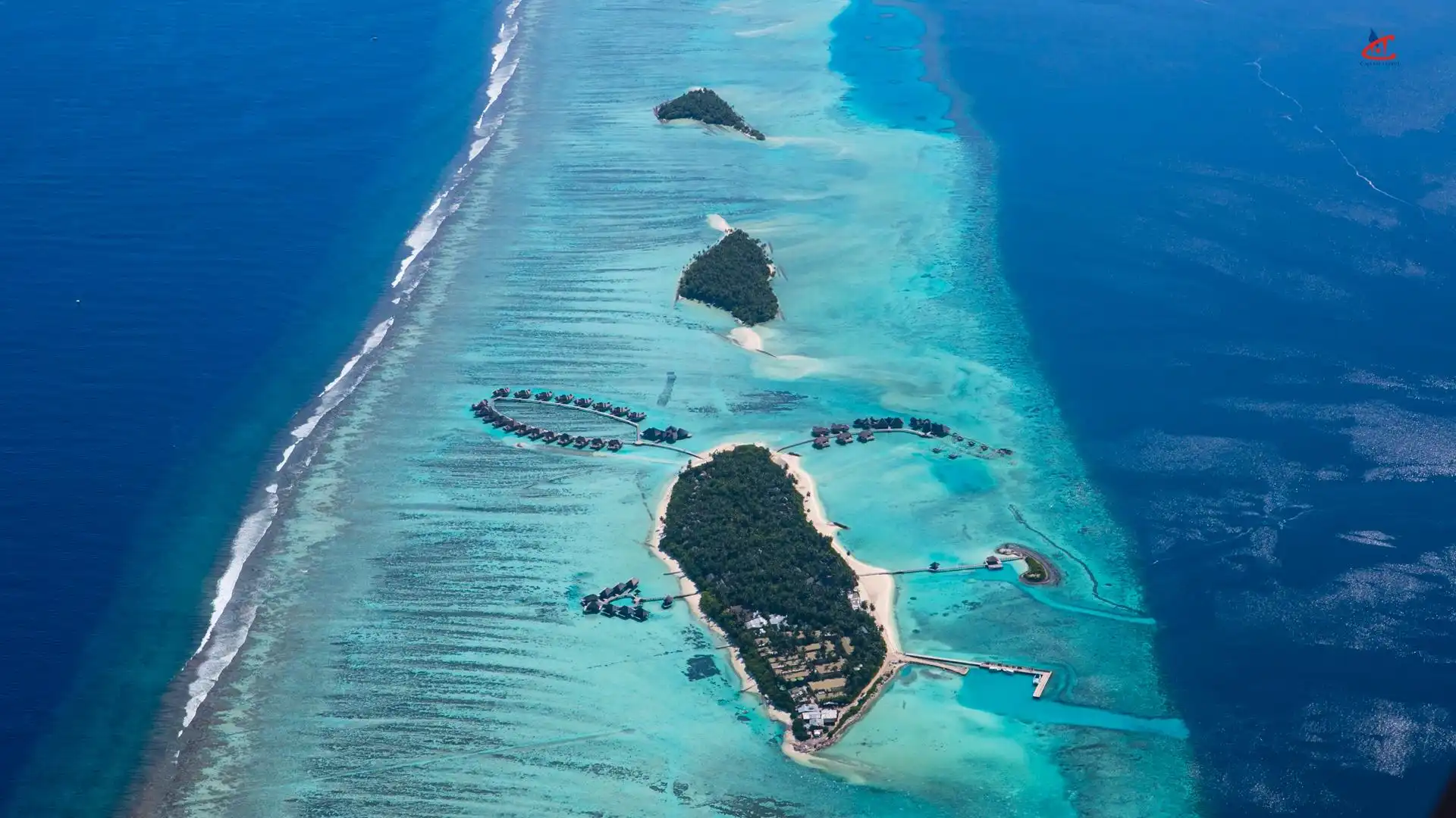 COMO Maalifushi Island Resort Reef 1
