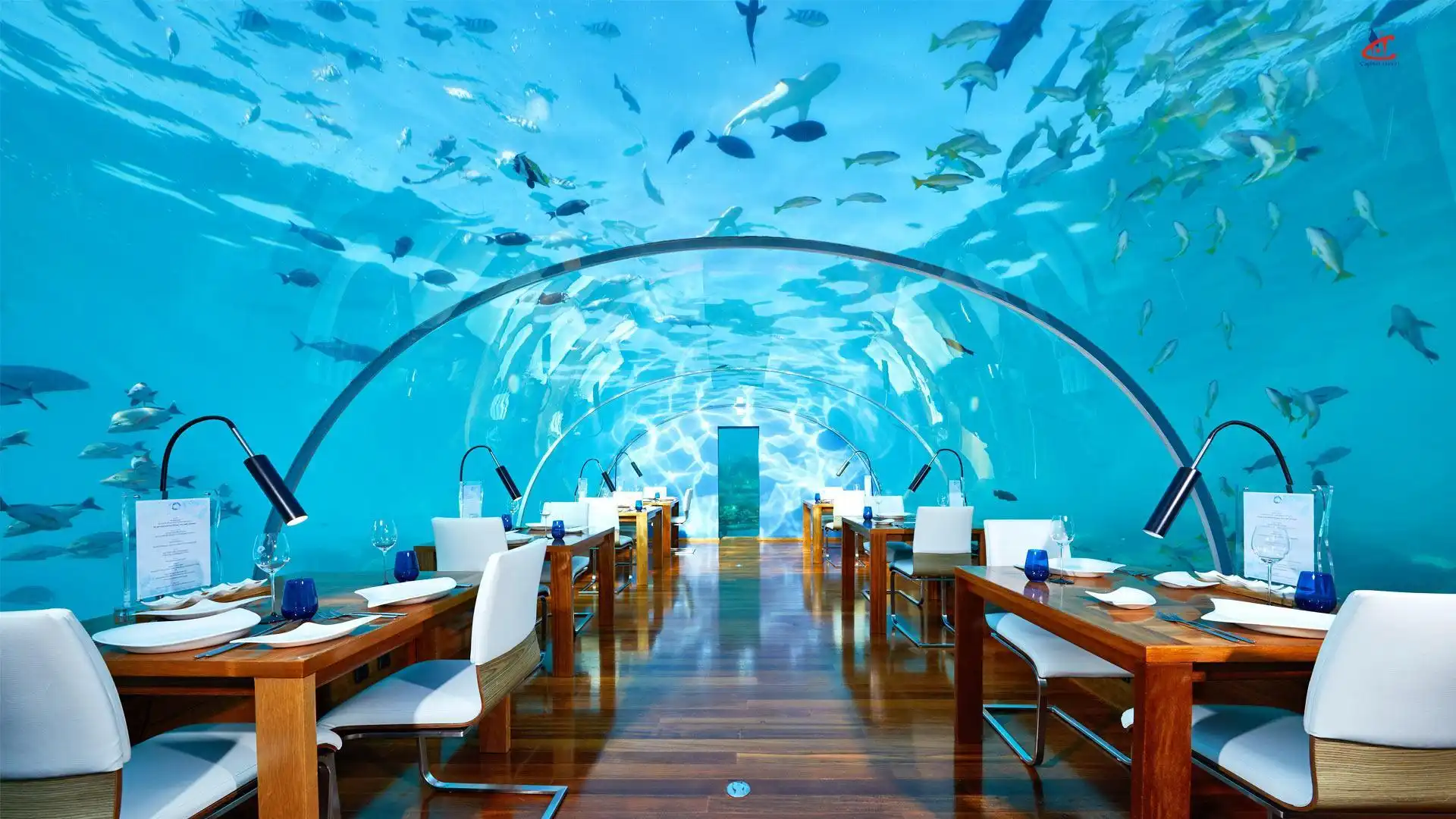 Conrad Maldives Rangali Island Resort Underwater Restaurant