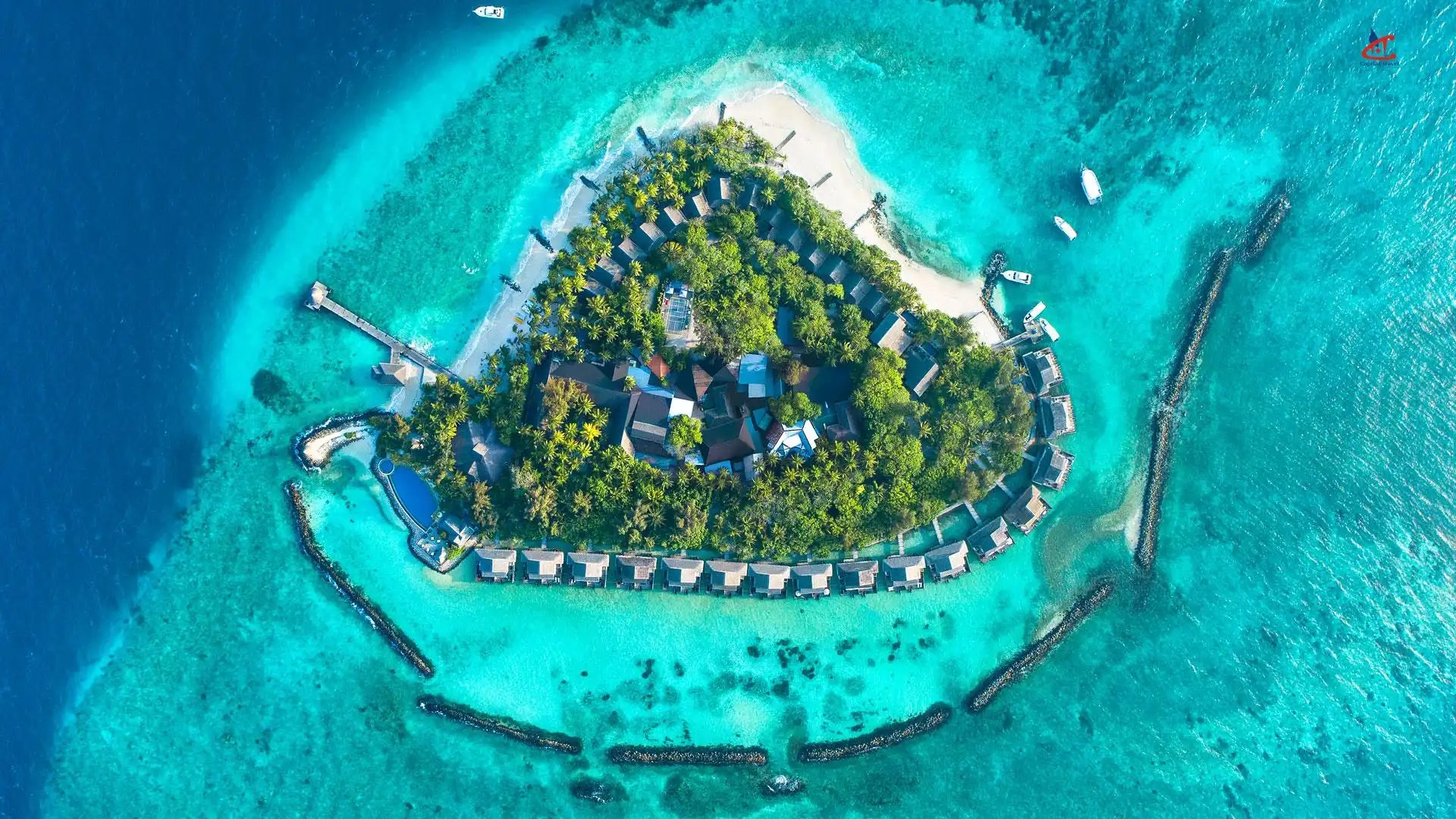 Taj Coral Reef Resort and Spa